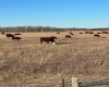 SE-32-71-5-W6 ..., Grande Prairie, Alberta T8X 0G4, ,Agri-business,For Sale,...,A2092893
