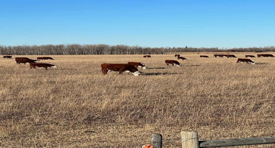 SE-32-71-5-W6 ..., Grande Prairie, Alberta T8X 0G4, ,Agri-business,For Sale,...,A2092893