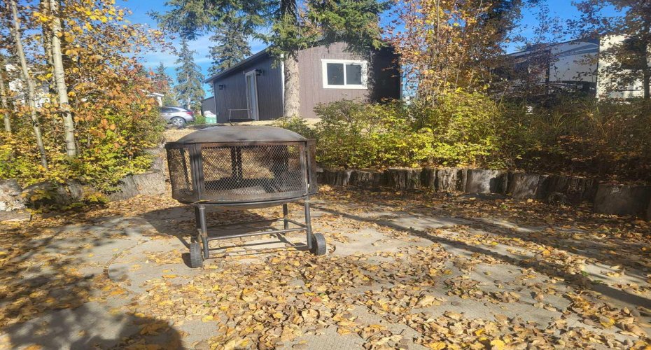 10032 Township Road 422, Rural Ponoka County, Alberta T4J 1V9, ,Land,For Sale,Township Road 422,A2172247