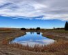 29250 RR 34, Rural Mountain View County, Alberta T0M 0S0, ,Agri-business,For Sale,RR 34,A2173408