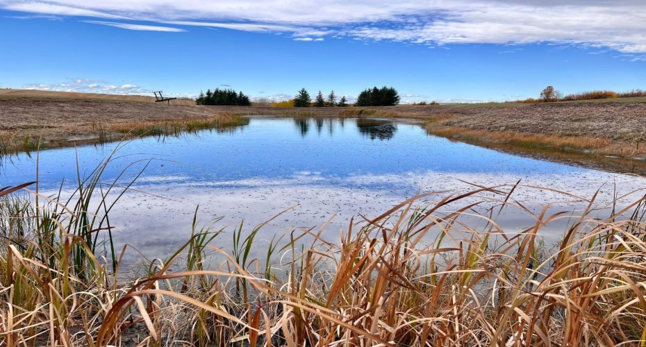 29250 RR 34, Rural Mountain View County, Alberta T0M 0S0, ,Agri-business,For Sale,RR 34,A2173408