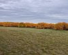 29250 RR 34, Rural Mountain View County, Alberta T0M 0S0, ,Agri-business,For Sale,RR 34,A2173408