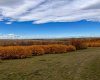 29250 RR 34, Rural Mountain View County, Alberta T0M 0S0, ,Agri-business,For Sale,RR 34,A2173408