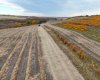 29250 RR 34, Rural Mountain View County, Alberta T0M 0S0, ,Agri-business,For Sale,RR 34,A2173408
