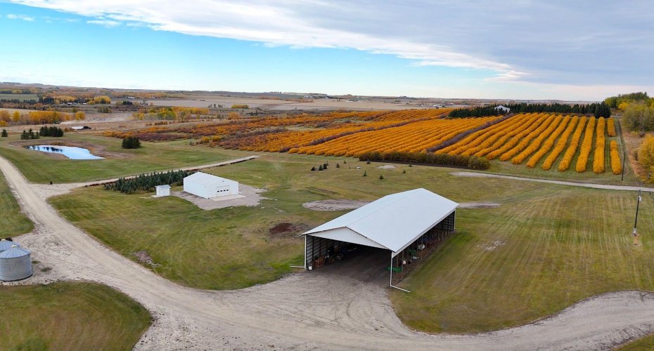 29250 RR 34, Rural Mountain View County, Alberta T0M 0S0, ,Agri-business,For Sale,RR 34,A2173408