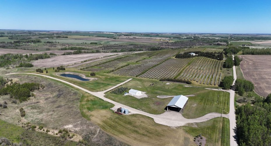 29250 RR 34, Rural Mountain View County, Alberta T0M 0S0, ,Agri-business,For Sale,RR 34,A2173408