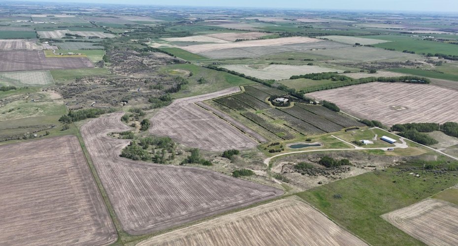 29250 RR 34, Rural Mountain View County, Alberta T0M 0S0, ,Agri-business,For Sale,RR 34,A2173408