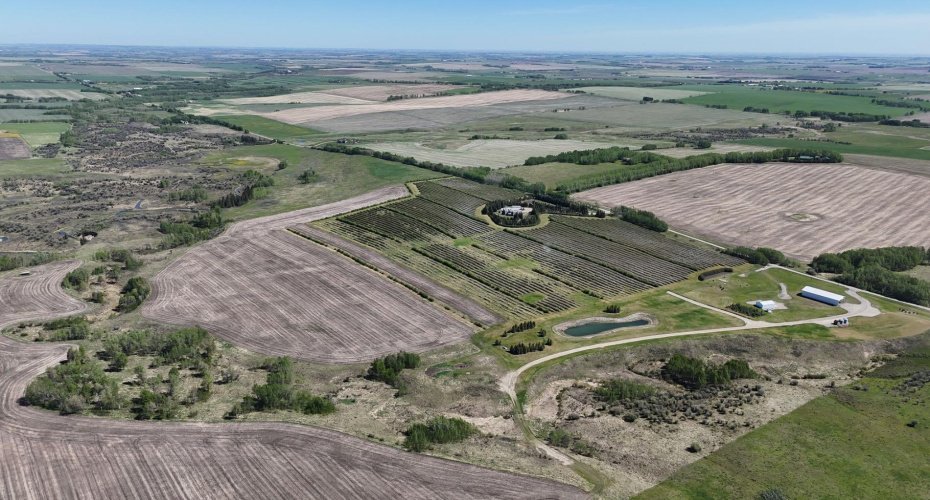 29250 RR 34, Rural Mountain View County, Alberta T0M 0S0, ,Agri-business,For Sale,RR 34,A2173408