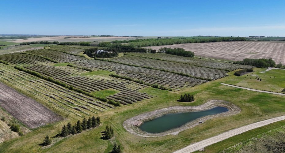 29250 RR 34, Rural Mountain View County, Alberta T0M 0S0, ,Agri-business,For Sale,RR 34,A2173408