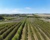 29250 RR 34, Rural Mountain View County, Alberta T0M 0S0, ,Agri-business,For Sale,RR 34,A2173408