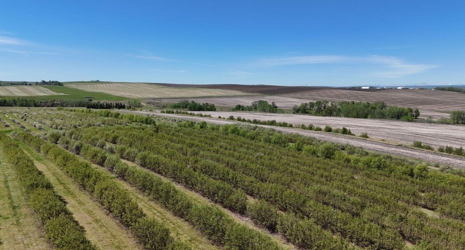 29250 RR 34, Rural Mountain View County, Alberta T0M 0S0, ,Agri-business,For Sale,RR 34,A2173408