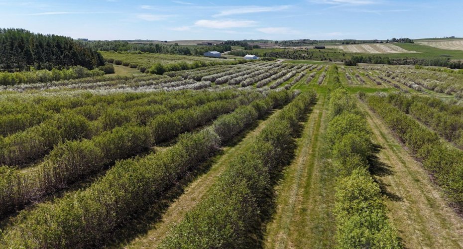 29250 RR 34, Rural Mountain View County, Alberta T0M 0S0, ,Agri-business,For Sale,RR 34,A2173408