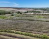 29250 RR 34, Rural Mountain View County, Alberta T0M 0S0, ,Agri-business,For Sale,RR 34,A2173408