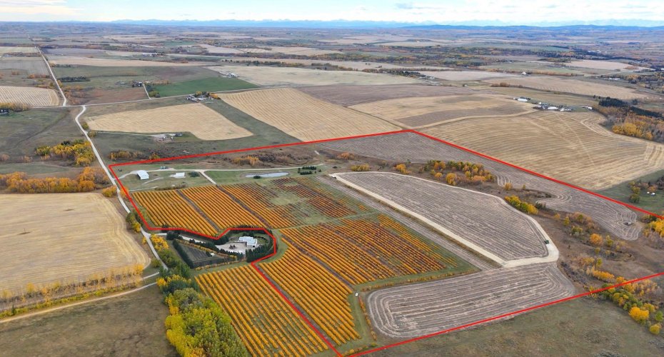 29250 RR 34, Rural Mountain View County, Alberta T0M 0S0, ,Agri-business,For Sale,RR 34,A2173408