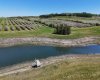 29250 RR 34, Rural Mountain View County, Alberta T0M 0S0, ,Agri-business,For Sale,RR 34,A2173408