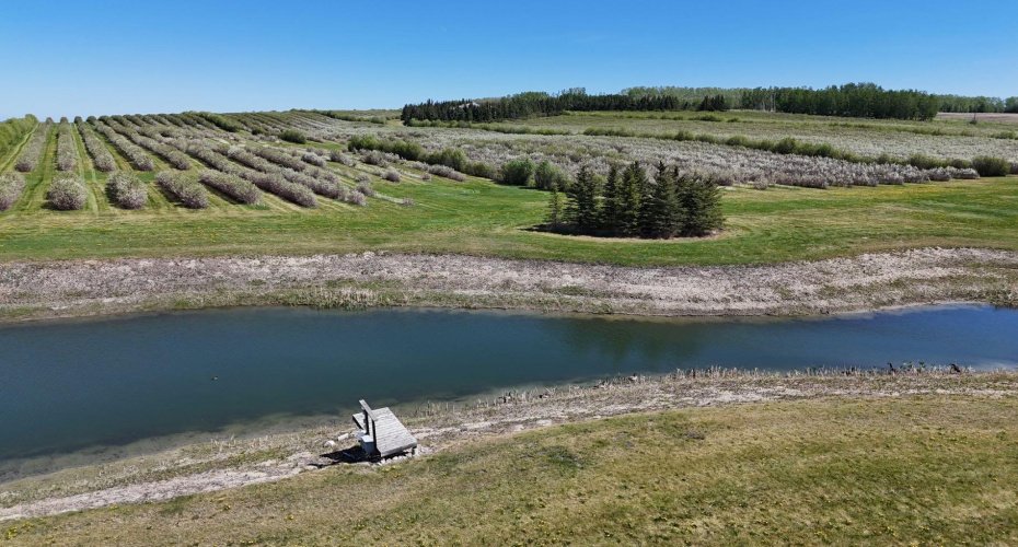 29250 RR 34, Rural Mountain View County, Alberta T0M 0S0, ,Agri-business,For Sale,RR 34,A2173408