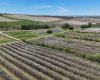 29250 RR 34, Rural Mountain View County, Alberta T0M 0S0, ,Agri-business,For Sale,RR 34,A2173408