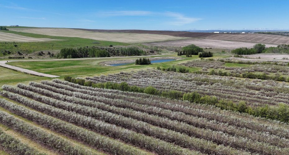 29250 RR 34, Rural Mountain View County, Alberta T0M 0S0, ,Agri-business,For Sale,RR 34,A2173408