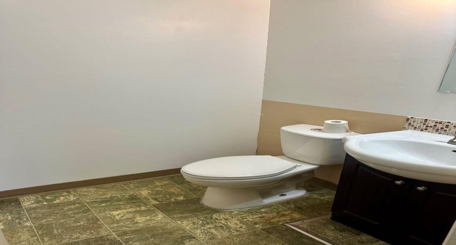 10016 103 Avenue, Lac La Biche, Alberta T0A 2C0, ,Commercial,For Sale,103,A2175243