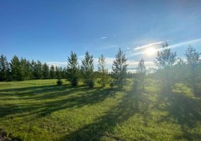 L4 B2 NE 01-45-07 W4, Rural Wainwright No. 61, M.D. of, Alberta T9W 1S9, ,Land,For Sale,L4 B2 NE 01-45-07 W4,A2176440