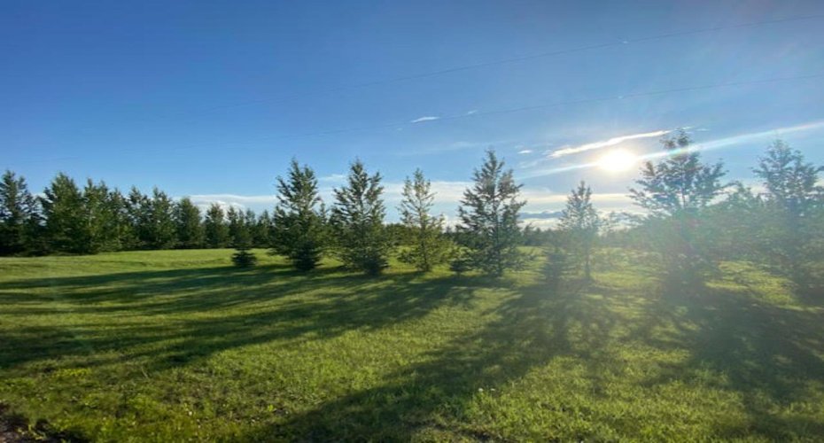 L4 B2 NE 01-45-07 W4, Rural Wainwright No. 61, M.D. of, Alberta T9W 1S9, ,Land,For Sale,L4 B2 NE 01-45-07 W4,A2176440