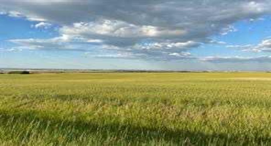 714058 Range Road 72, Rural Grande Prairie No. 1, County of, Alberta T8W 5J6, ,Land,For Sale,Range Road 72,A2177011