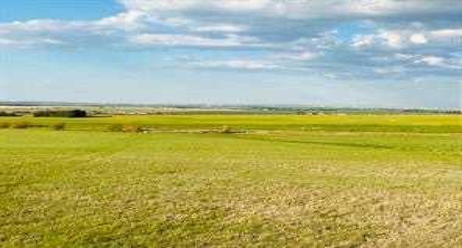 714058 Range Road 72, Rural Grande Prairie No. 1, County of, Alberta T8W 5J6, ,Land,For Sale,Range Road 72,A2177011