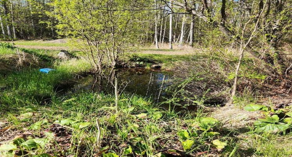 3 2nd st Key Cove Drive, Joussard, Alberta T0G 1J0, ,Land,For Sale,Key Cove,A2178402