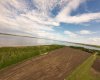 On Highway 771, Rural Lacombe County, Alberta T4L 1N1, ,Land,For Sale,Highway 771,A2177208