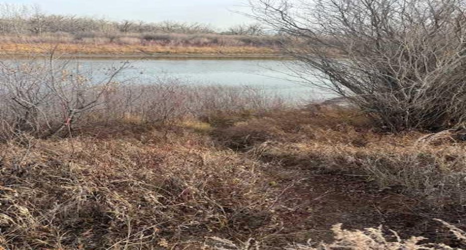 670 Center Street, Drumheller, Alberta T0J0Y9, ,Land,For Sale,Center,A2179461