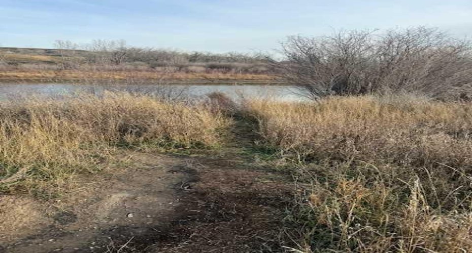 670 Center Street, Drumheller, Alberta T0J0Y9, ,Land,For Sale,Center,A2179461