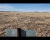145048 192 Township, Rural Newell, County of, Alberta T0J 0Z0, ,Land,For Sale,192,A2180649