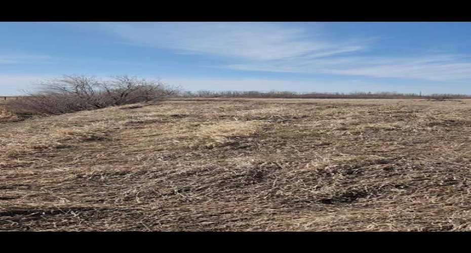 145048 192 Township, Rural Newell, County of, Alberta T0J 0Z0, ,Land,For Sale,192,A2180649