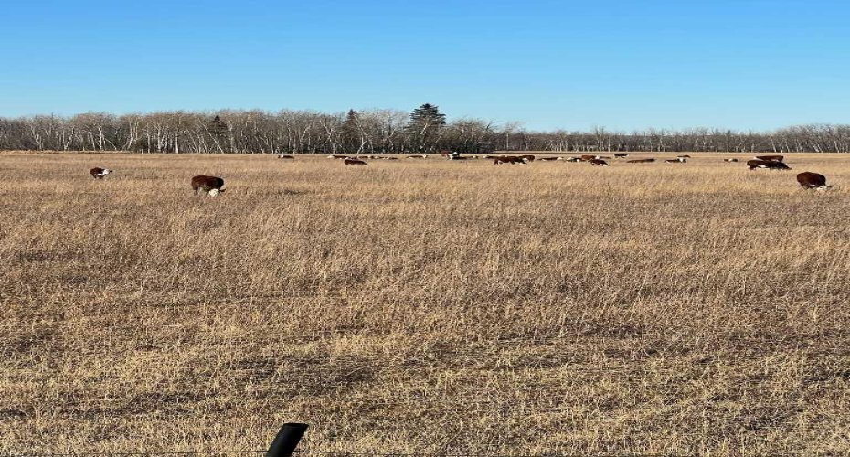 SE-32-71-5-W6 ., Grande Prairie, Alberta T8X 0G4, ,Land,For Sale,.,A2181283