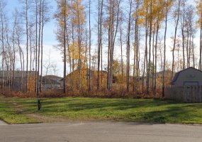 5 Birch Close, High Level, Alberta T0H 1Z0, ,Land,For Sale,Birch,A1027463