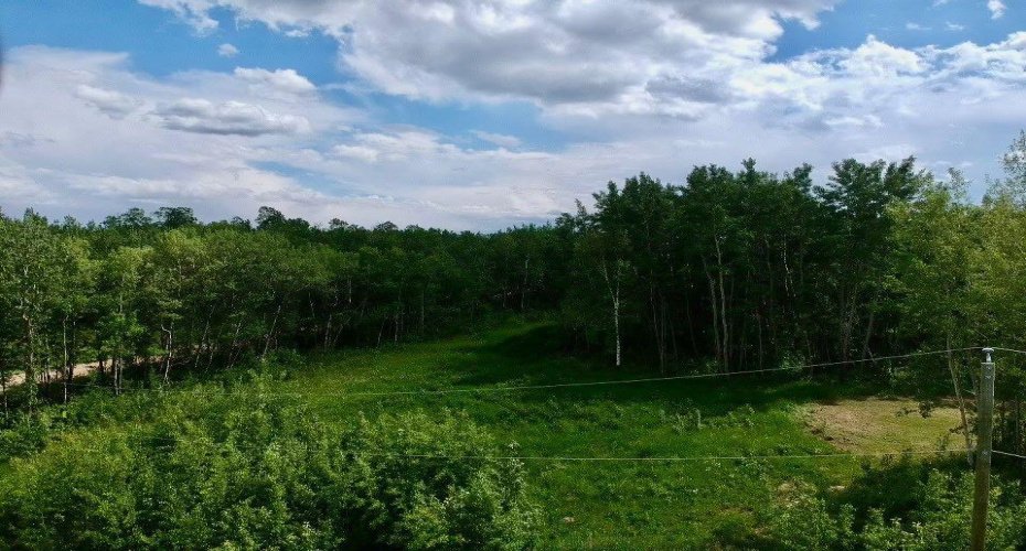 50226 Range Road 204, Rural Beaver County, Alberta T0B 4A0, ,Land,For Sale,Range Road 204,A1240555