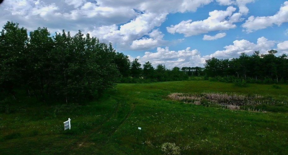 50226 Range Road 204, Rural Beaver County, Alberta T0B 4A0, ,Land,For Sale,Range Road 204,A1240555