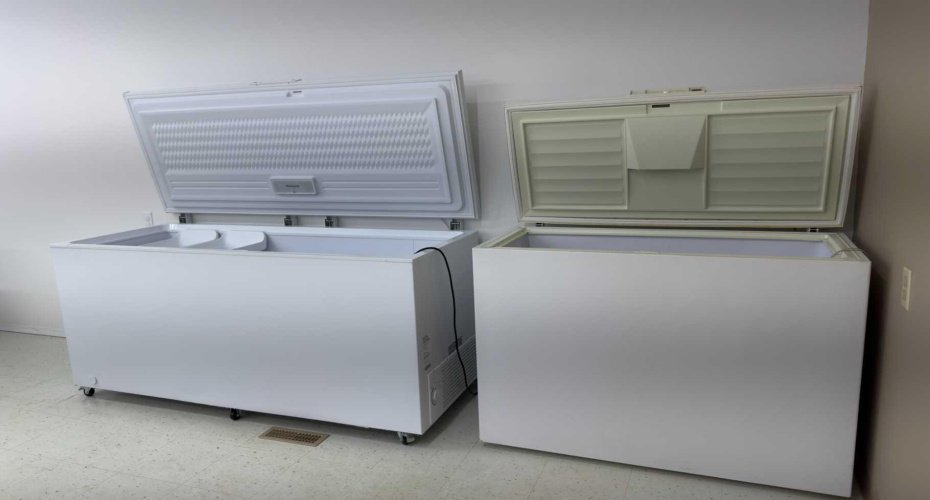 4905 50 Avenue, Consort, Alberta T0C1B0, ,Commercial,For Sale,Patti's Place,50,A2185756