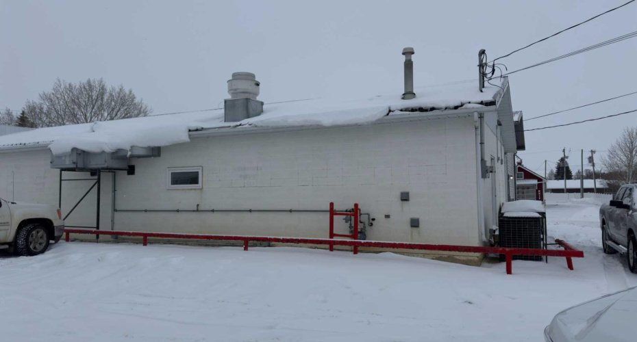 4905 50 Avenue, Consort, Alberta T0C1B0, ,Commercial,For Sale,Patti's Place,50,A2185756