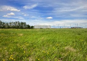 4428 46A Avenue, Rycroft, Alberta T0H 3A0, ,Land,For Sale,46A,A2024960