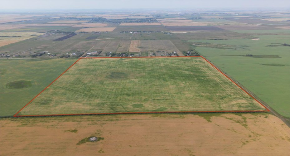 Outline framed in red *approximate