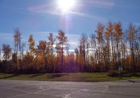 1 Boreal Crescent, High Level, Alberta T0H 1Z0, ,Land,For Sale,Boreal,A1027509