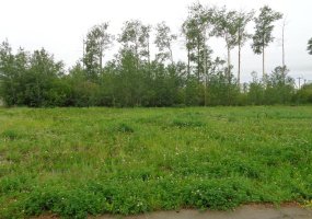 29 Chonkolay Drive, High Level, Alberta T0H 1Z0, ,Land,For Sale,Chonkolay,A1027521