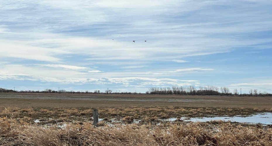 3392 Gershaw Drive, Medicine Hat, Alberta T1B 0B2, ,Land,For Sale,Gershaw,A2188490