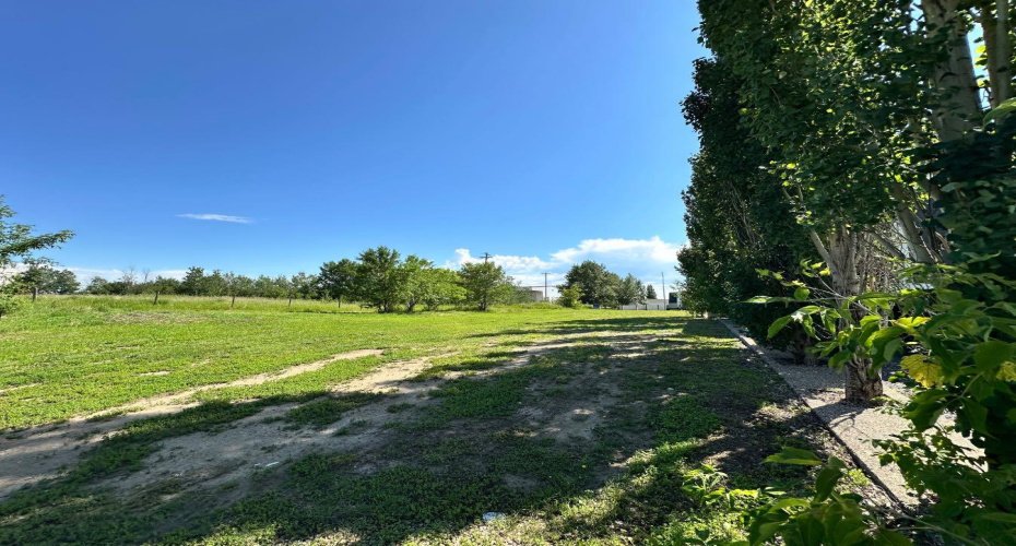 1129 17 Street, Wainwright, Alberta T9W 1E5, ,Land,For Sale,17,A2190086