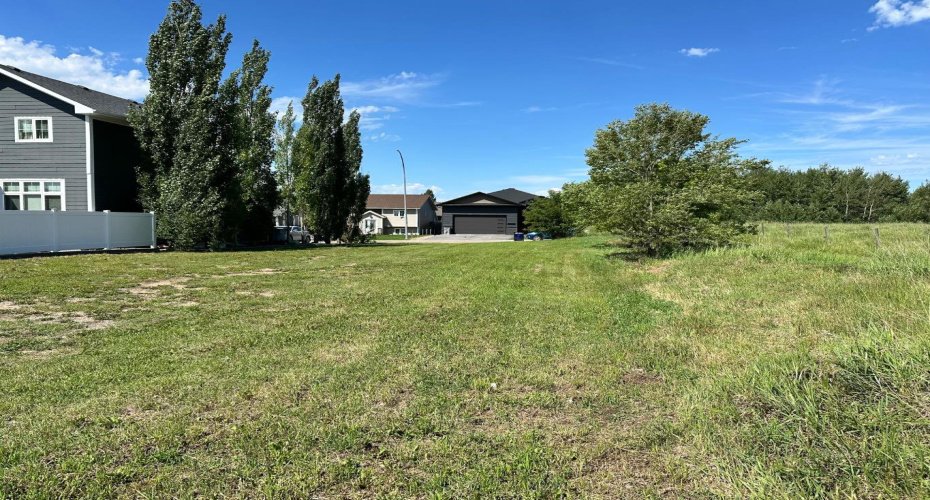 1129 17 Street, Wainwright, Alberta T9W 1E5, ,Land,For Sale,17,A2190086
