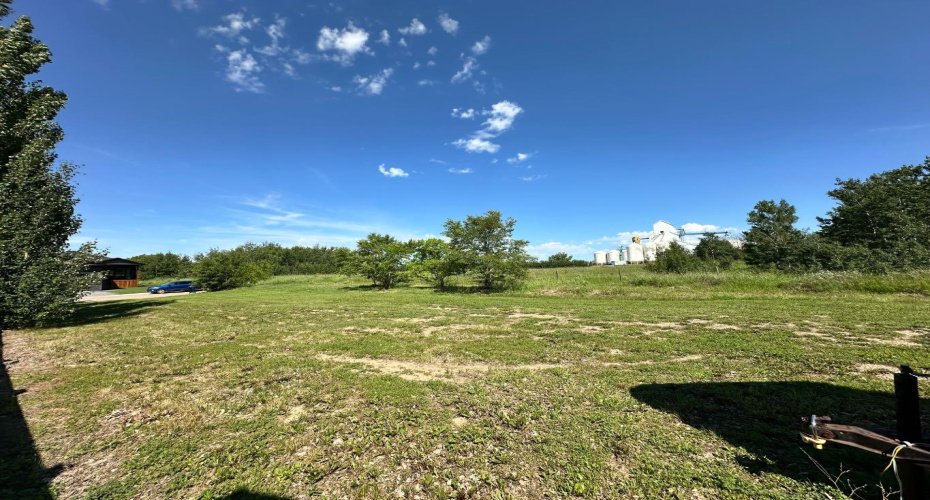 1129 17 Street, Wainwright, Alberta T9W 1E5, ,Land,For Sale,17,A2190086