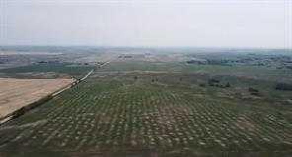 W-5 R-2, T- 26, S-9 Q-SE & SW Range Road 24 Road NW, Rural Rocky View County, Alberta T3R 1E4, ,Land,For Sale,Q-SE & SW Range Road 24 Road NW,A2190238