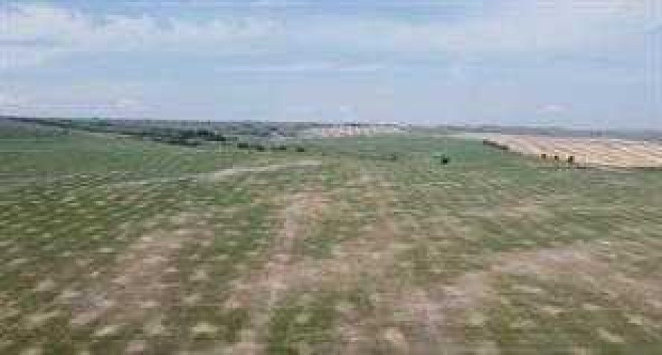 W-5 R-2, T- 26, S-9 Q-SE & SW Range Road 24 Road NW, Rural Rocky View County, Alberta T3R 1E4, ,Land,For Sale,Q-SE & SW Range Road 24 Road NW,A2190238