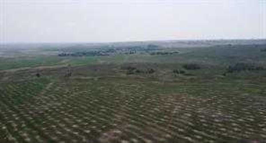 W-5 R-2, T- 26, S-9 Q-SE & SW Range Road 24 Road NW, Rural Rocky View County, Alberta T3R 1E4, ,Land,For Sale,Q-SE & SW Range Road 24 Road NW,A2190238